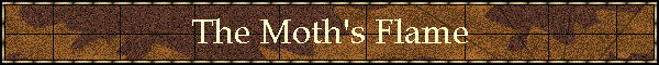 The Moth's Flame